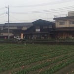 中車水車小屋 - チューリップ畑とお店