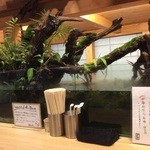 人類みな麺類 - 