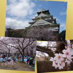 ゼロワンカレー - Cool-Japanも桜が咲けばHotになる