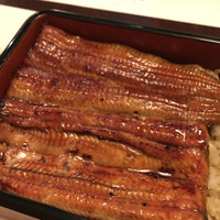うなぎ川勢 - 