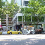 BRIM CC Japanese Organic Cafe - お店の前の街並みです。食事も外が気持ちいい（＾＾