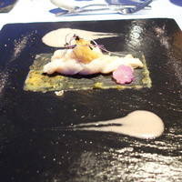 International cuisine subzero - 