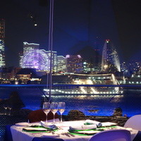 International cuisine subzero - 