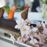 オーベルジュ ド ぷれざんす 桜井 - 