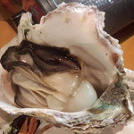 岩ガキ小屋 - 松江 岩ガキ