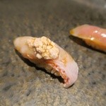 鮨ノ蔵 - キンキ