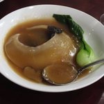 趙楊 - 2016/2フカヒレ