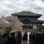 メインダイニングルーム 三笠 - 奈良の大仏殿