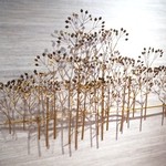 トゥ・ラ・ジョア - H28年3月