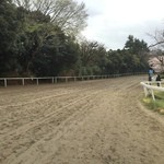 馬事公苑 売店 - 競馬好きは萌えるダートコース。（2016 桜まつり）