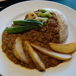 Koshindo Curry - 