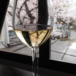 Restaurant μ - オルヴィエート・クラシコ・ファンテッラ