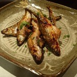 二条有恒 - 本もろこ