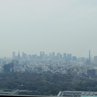 アルヴァ(アマン東京) - 