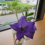 ふた葉 - 窓辺にはリンドウの花。外には、畑が広がります。