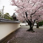 ピッツェリア アネッロ - おまけ・加古川屈指の花名所「教信寺」境内の「花桟敷」