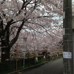 ひだりうま - もう暫く咲いてます＾＾