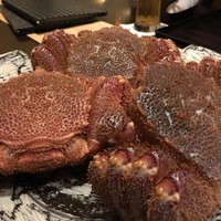 銀座 蟹みつ - 毛蟹
                