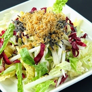 Gazen - 揚げじゃこと白菜のサラダ