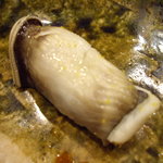 寿司一 - 穴子(塩)。