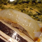 寿司一 - 槍烏賊。