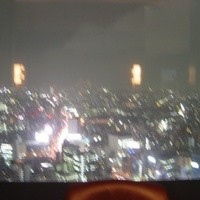 タワーズバー ベロビスト - 