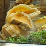 中鮨 - 冷蔵ケースでうごめく大きなつぶ貝