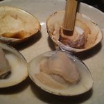 焼はまぐり 青山八番 - 焼蛤は美味しい。