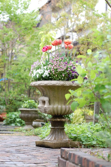 サロンド・カフェ・マンナ（salon de cafe MANNE） - 泉中央（カフェ）の写真