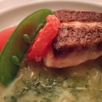 カーディナス・ギンザ - 