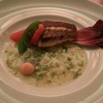 カーディナス・ギンザ - 