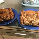 マルカイチ水産 海鮮炉端焼き - 