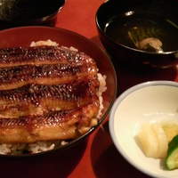 吉寅 - 鰻丼