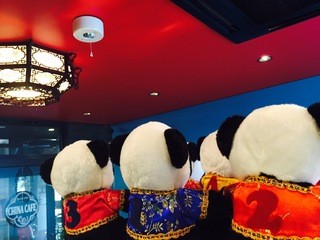 China cafe - china cafeの番号札はパンダのぬいぐるみロンロンです！ご来店の際は是非一緒に写真を撮って下さいね！