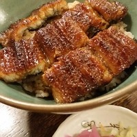 うなぎの新甫 - うなぎ丼　小盛り