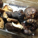 gu-gu-house - 全く椎茸其の物