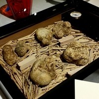 マルゴット エ バッチャーレ - 