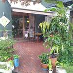 ナチュラル　カフェイーナ - 