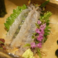 うぶか - 才巻海老　大葉　花穂　山葵