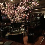 銀座 山崎 - 八重桜