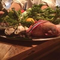 チニャーレエノテカ - 本日の特選素材