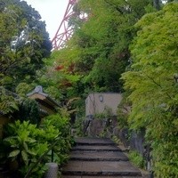 東京 芝 とうふ屋うかい - 