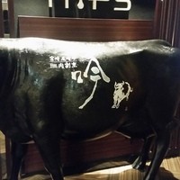 個室 和牛焼肉 吟 難波店 - 