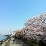 長命寺 桜もち - やはり見ごたえありますね