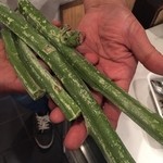 インドカレー クシ - 