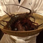 本湖月 - 伊勢海老