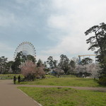 そば処 こだわり - 華蔵寺公園。有名なレジャースポット。