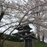 大黒屋 - 高田城の桜