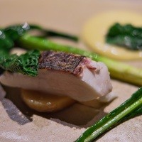 リョウリヤ ステファン パンテル - ＜2016年4月＞蒸して焼いた鯛。しっとり感抜群。オランデーズソースにはゆずの香りいっぱい。