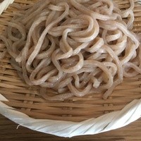 自家製粉石臼挽きうどん 青空blue 本店 - 